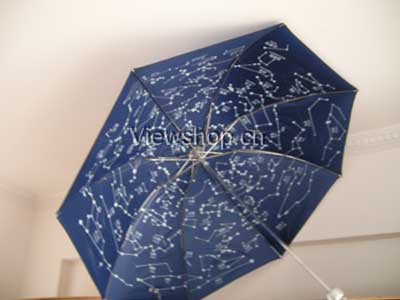 Constellation Umbrella
